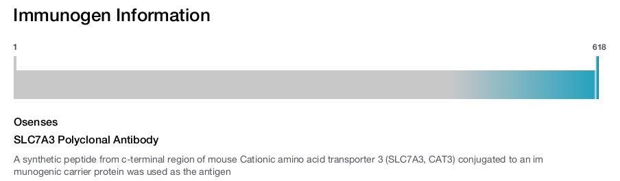 SLC7A3 Polyclonal Antibody