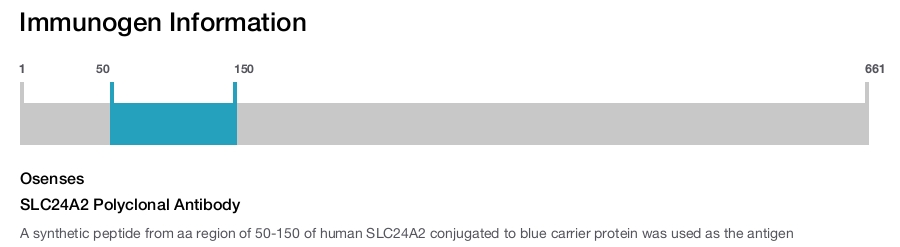 SLC24A2 Polyclonal Antibody