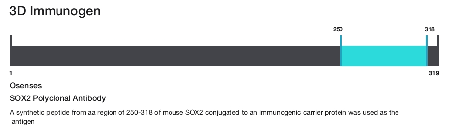 SOX2 Polyclonal Antibody