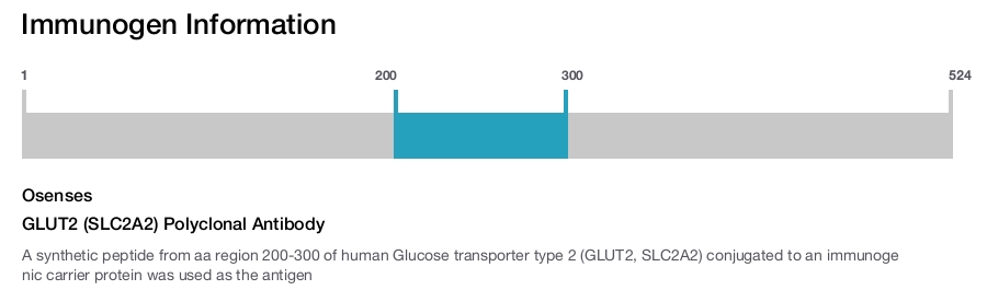 GLUT2 (SLC2A2) Polyclonal Antibody