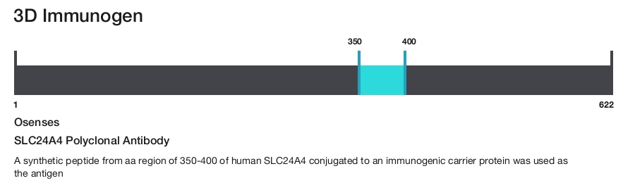 SLC24A4 Polyclonal Antibody