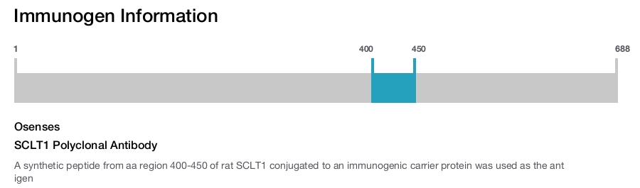 SCLT1 Polyclonal Antibody