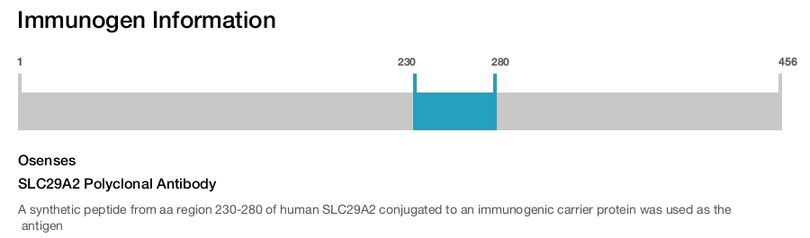 SLC29A2 Polyclonal Antibody