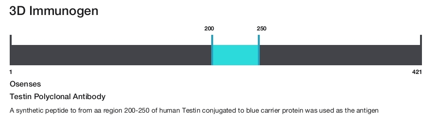 Testin Polyclonal Antibody