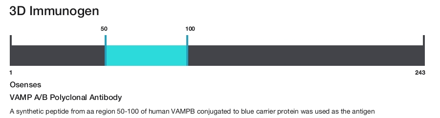 VAMP A/B Polyclonal Antibody
