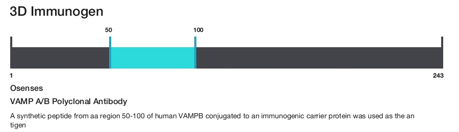 VAMP A/B Polyclonal Antibody