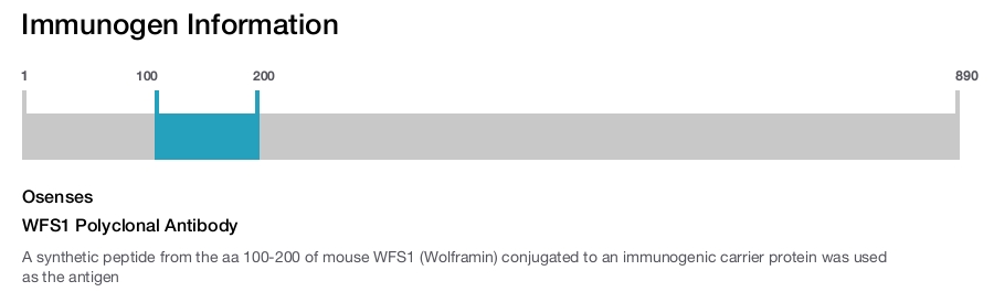 WFS1 Polyclonal Antibody
