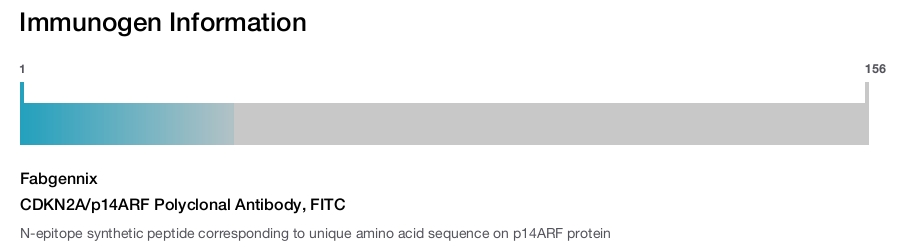 CDKN2A/p14ARF Polyclonal Antibody, FITC