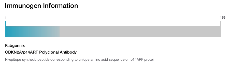 CDKN2A/p14ARF Polyclonal Antibody