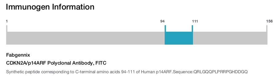 CDKN2A/p14ARF Polyclonal Antibody, FITC