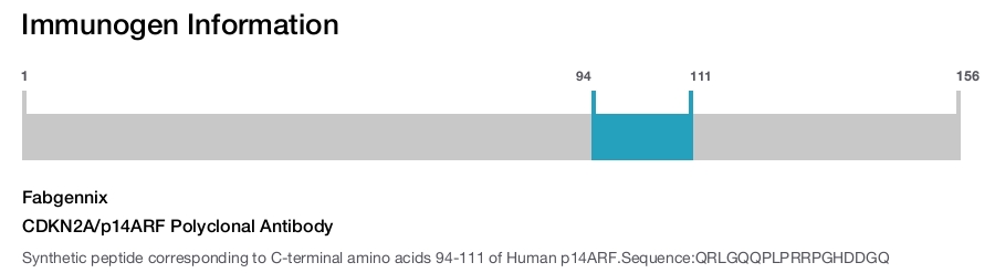 CDKN2A/p14ARF Polyclonal Antibody
