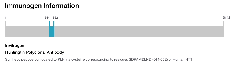 Huntingtin Polyclonal Antibody