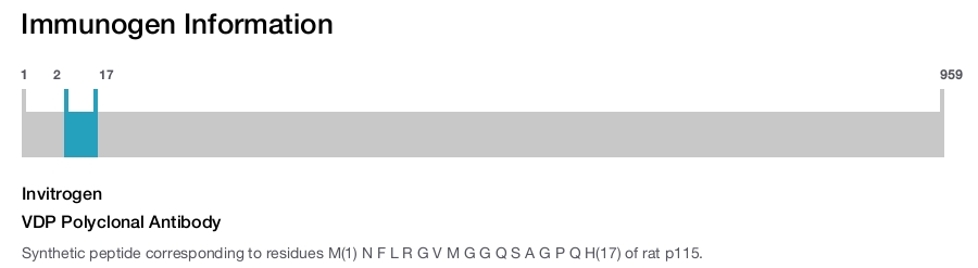 VDP Polyclonal Antibody