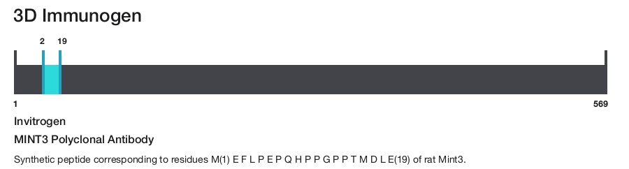 MINT3 Polyclonal Antibody