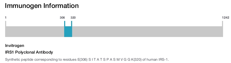 IRS1 Polyclonal Antibody