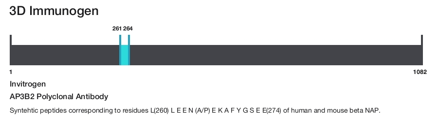 AP3B2 Polyclonal Antibody
