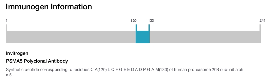 PSMA5 Polyclonal Antibody