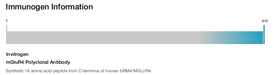 mGluR4 Polyclonal Antibody