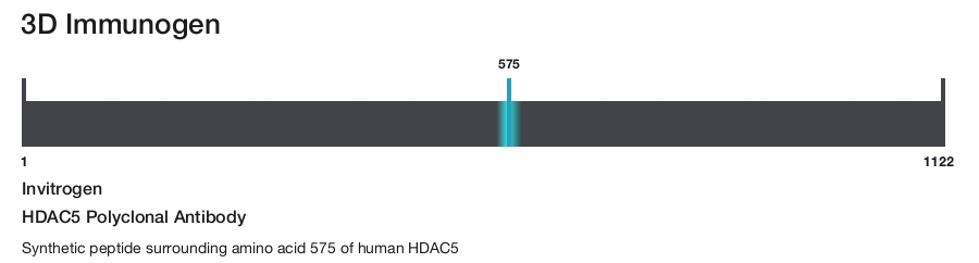 HDAC5 Polyclonal Antibody