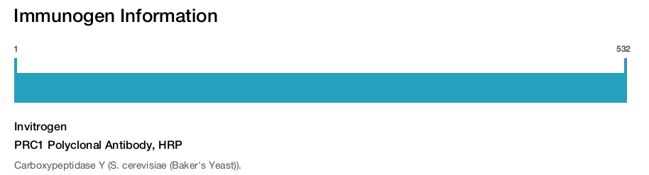 PRC1 Polyclonal Antibody, HRP