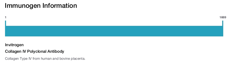 Collagen IV Polyclonal Antibody