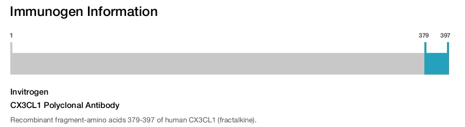 CX3CL1 Polyclonal Antibody