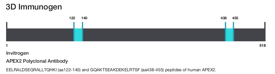 APEX2 Polyclonal Antibody