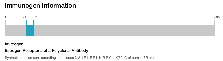 Estrogen Receptor alpha Polyclonal Antibody