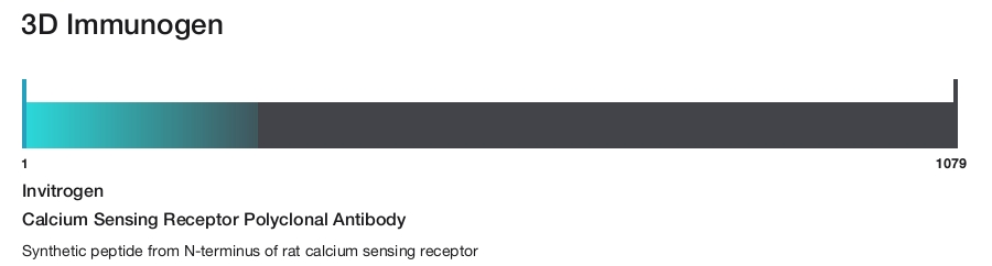 Calcium Sensing Receptor Polyclonal Antibody