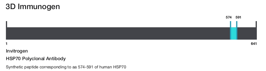 HSP70 Polyclonal Antibody