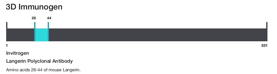 Langerin Polyclonal Antibody