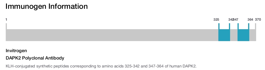 DAPK2 Polyclonal Antibody