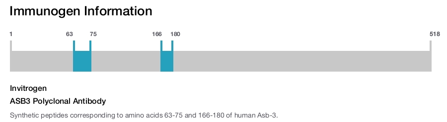 ASB3 Polyclonal Antibody