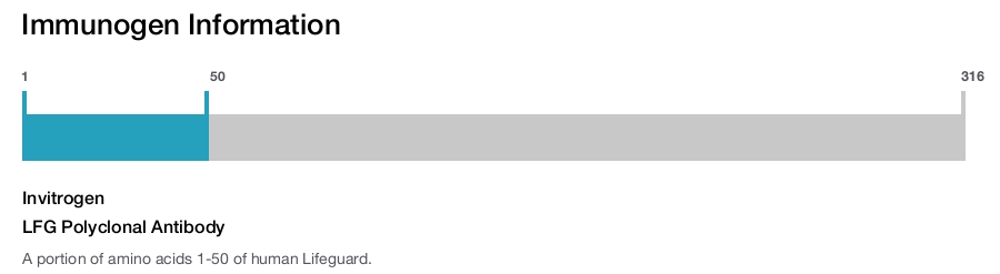 LFG Polyclonal Antibody