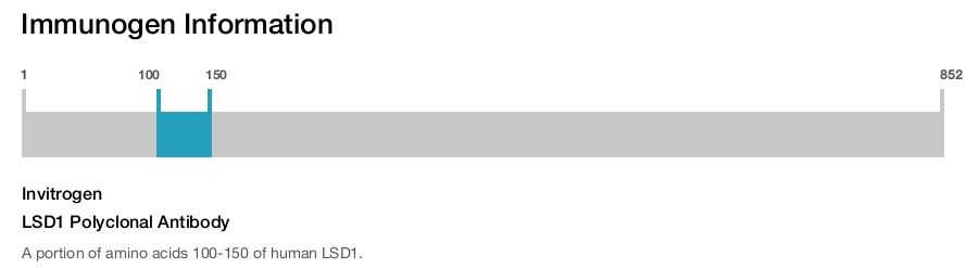 LSD1 Polyclonal Antibody