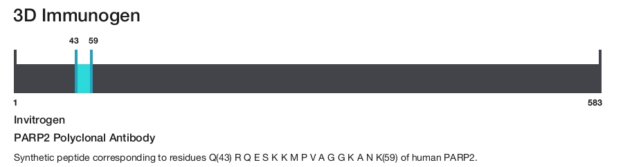 PARP2 Polyclonal Antibody