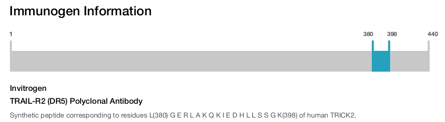 TRAIL-R2 (DR5) Polyclonal Antibody