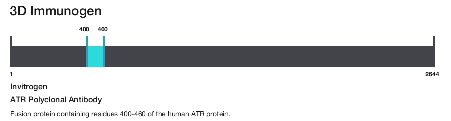 ATR Polyclonal Antibody
