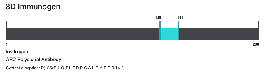 ARC Polyclonal Antibody