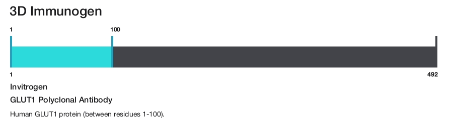 GLUT1 Polyclonal Antibody