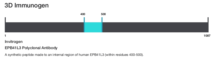 EPB41L3 Polyclonal Antibody