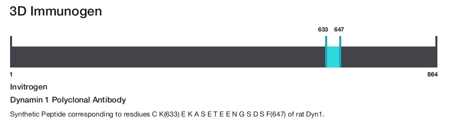 Dynamin 1 Polyclonal Antibody