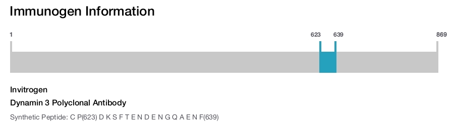 Dynamin 3 Polyclonal Antibody