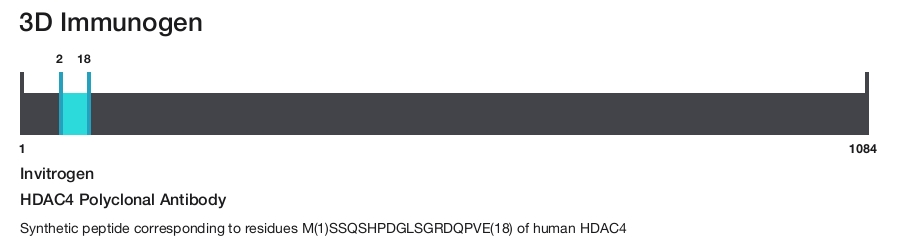 HDAC4 Polyclonal Antibody