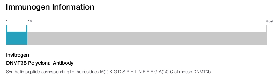 DNMT3B Polyclonal Antibody