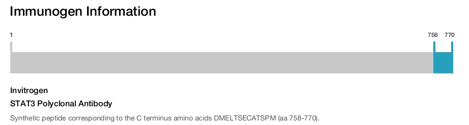 STAT3 Polyclonal Antibody