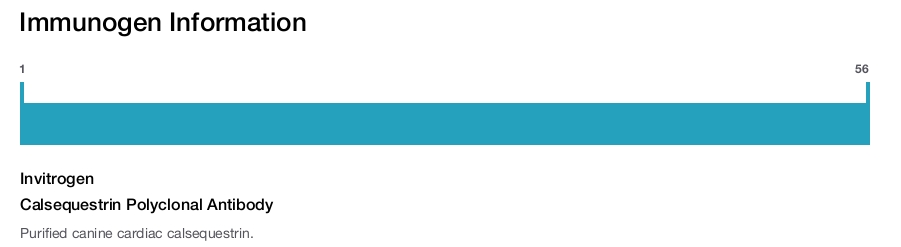 Calsequestrin Polyclonal Antibody
