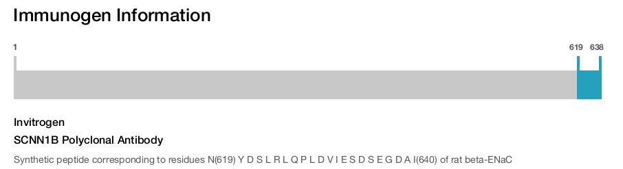 SCNN1B Polyclonal Antibody