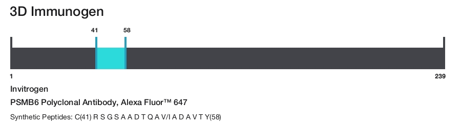 PSMB6 Polyclonal Antibody, Alexa Fluor&trade; 647