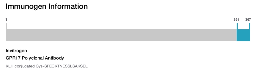 GPR17 Polyclonal Antibody